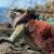 Ecuador – Amazonas & Galapagos unik ø-hop