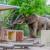 Balule River Lodge, Kruger i Sydafrika samt safari i Botswana og Zimbabwe