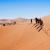 Namibia: Uendelige vidder, ørkenlandskaber og unikke naturoplevelser