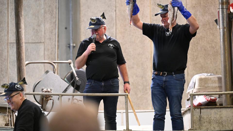Show med info om danske attraktioner