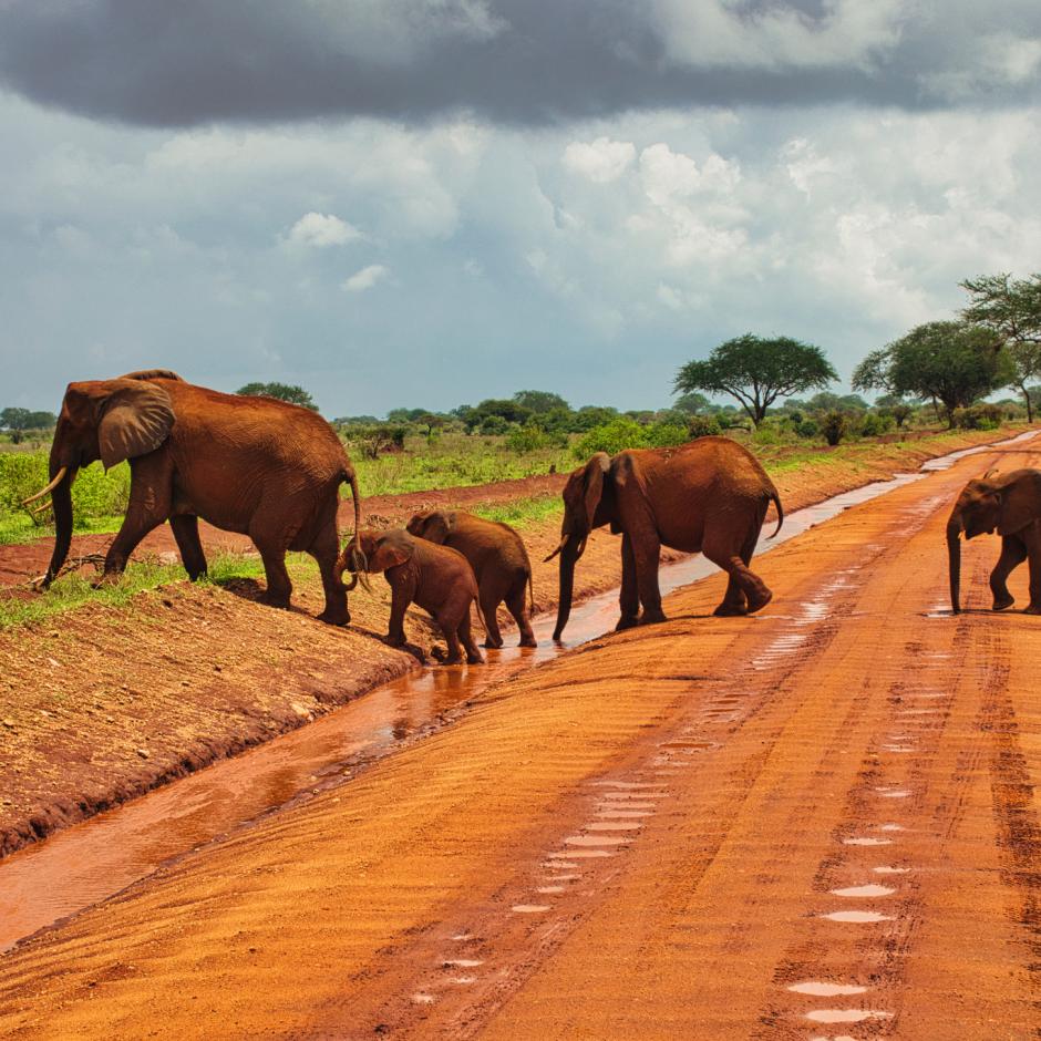 Tsavo safari & Badeferie