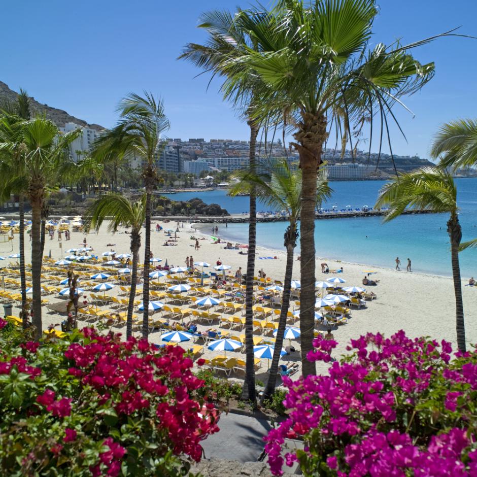 Gran Canaria - vinterdestination