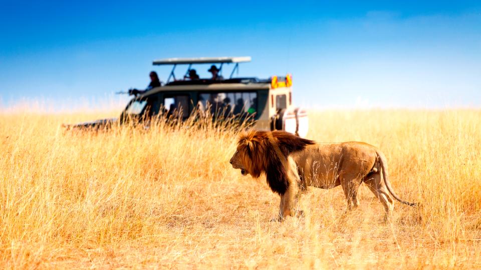 Eventyrlige rejser til Kenya