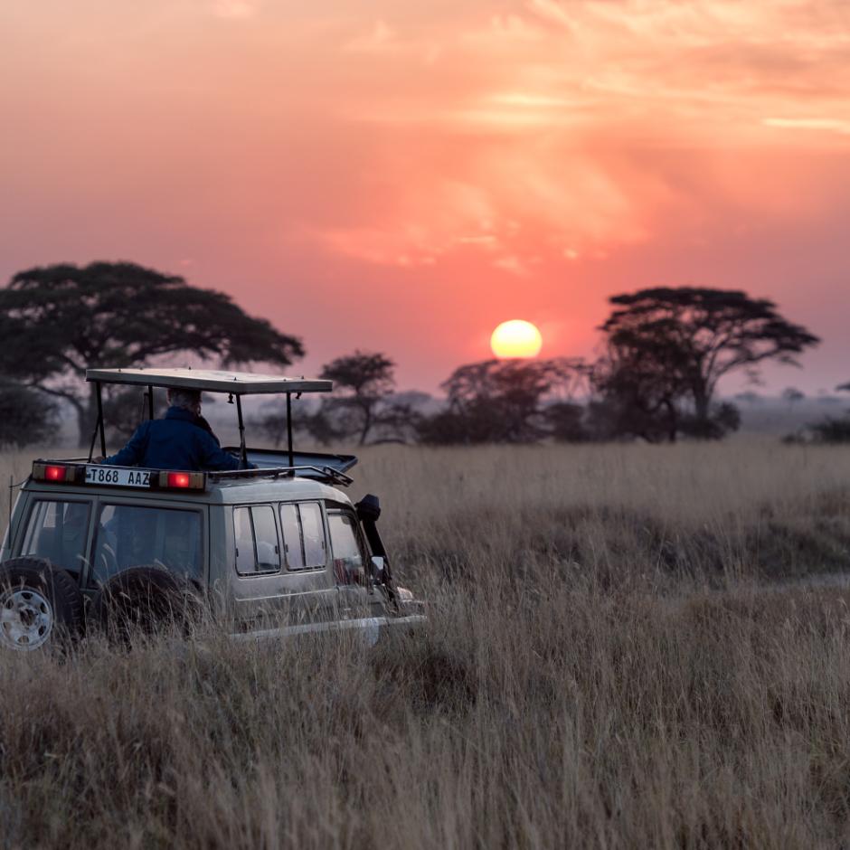 Safari i Afrika