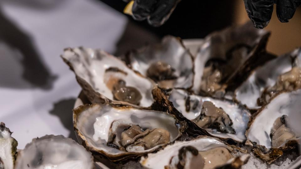 Smagsprøver på friske østers