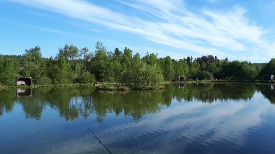 Put & Take Fiskeri i Danmark – En Helårsoplevelse for Hele Familien