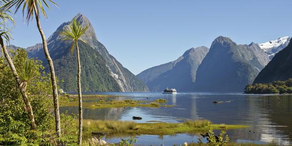 Oplev New Zealand fra nord til syd – i camper