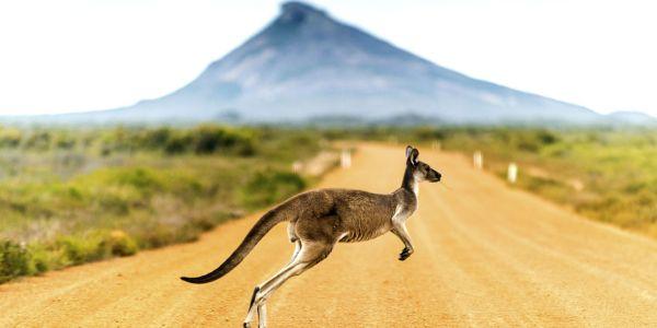 Australien med dansk rejseleder