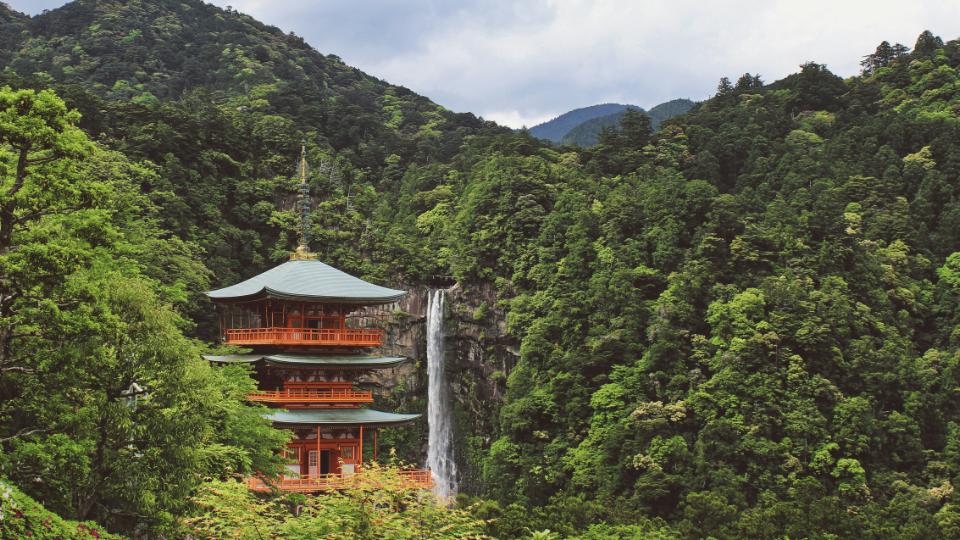 Oplev Japan med de fascinerende kontraster