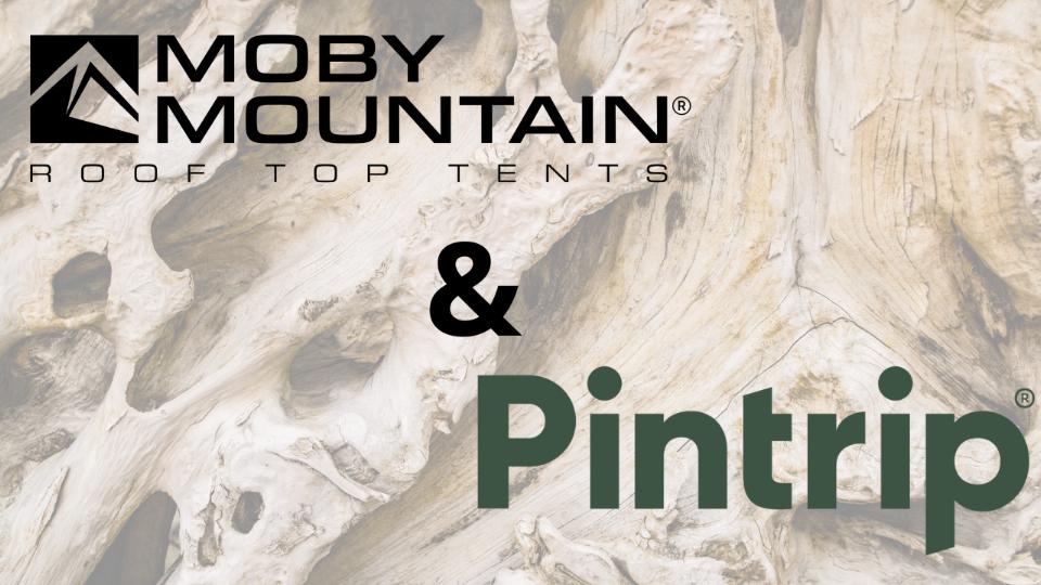 To danske rejsevisioner mødes: Pintrip og Moby Mountain indgår nyt samarbejde