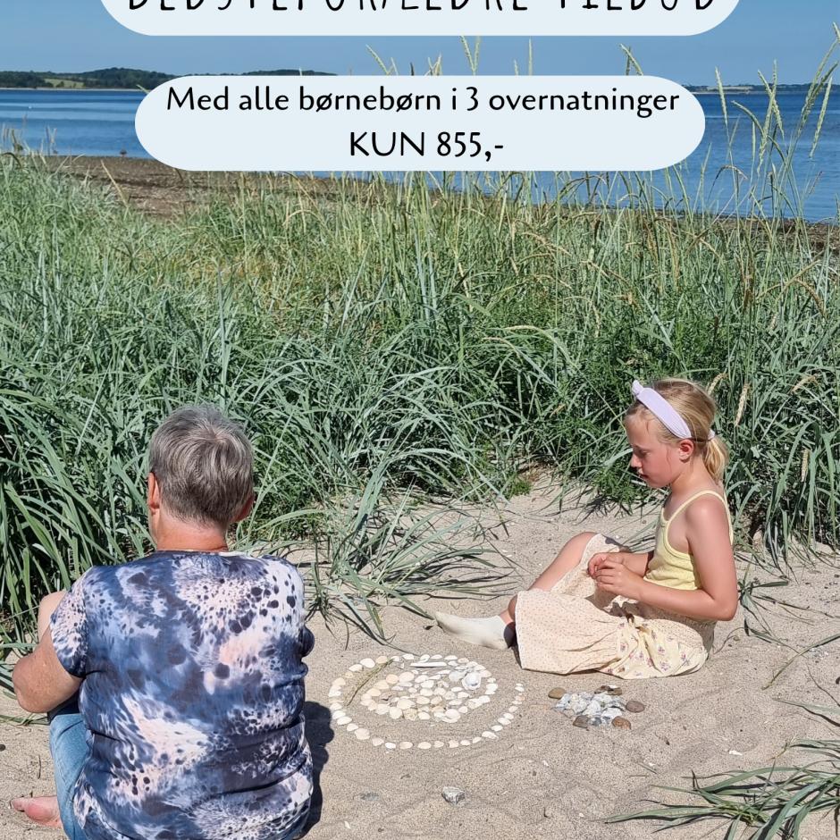 Bedsteforældrepakke