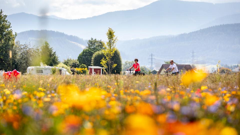 Ro. Kvalitet. Cykelglæde. – Adults Only i Østrig
