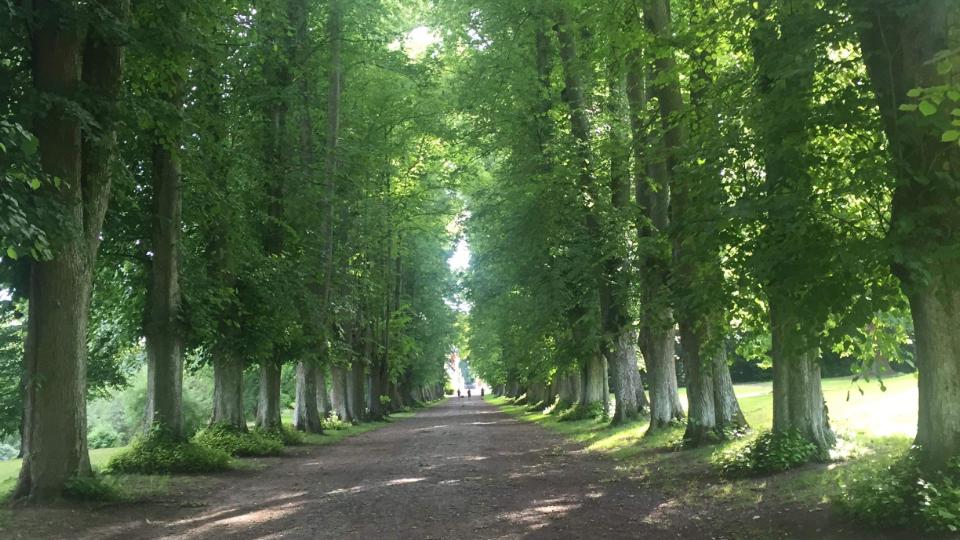 Foredrag Gå dig fri på Tillidsvejen - en dansk Camino fra Klitmøller til København