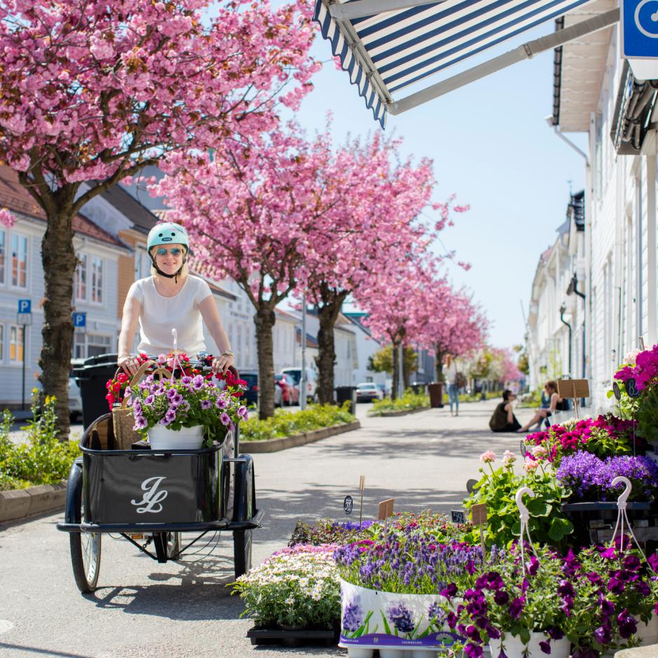 Kristiansand og omegn