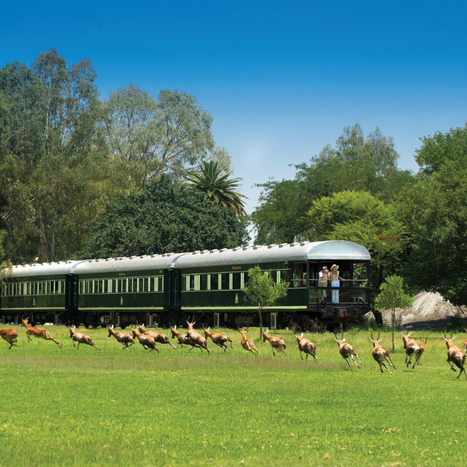 Afrika på skinner - Rovos Rail