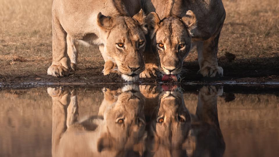 Fotoworkshops med Africa Tours