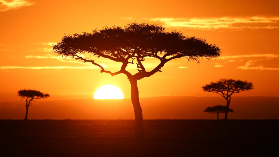 Rejselederens råd til en unik safarirejse - Africa Tours