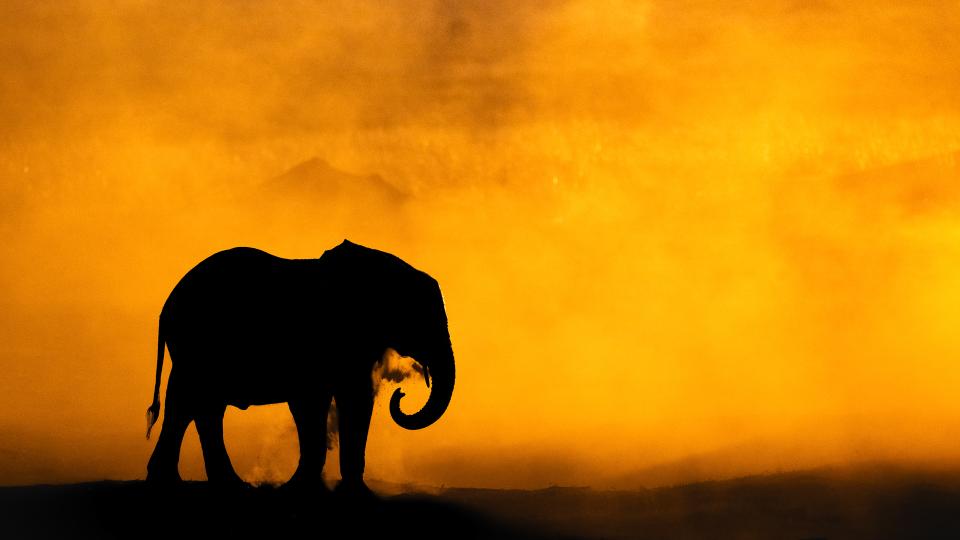Fotoworkshops med Africa Tours