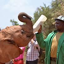 Kenya Familiesafari