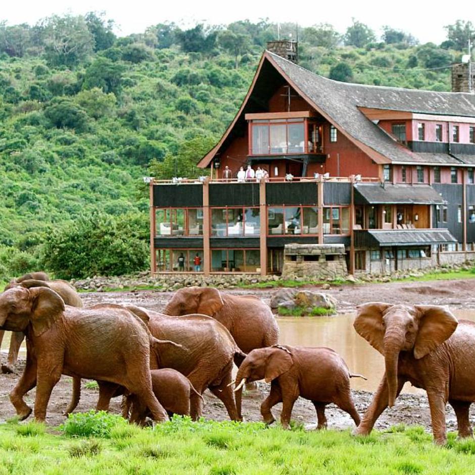 Kenya Drømme Safari