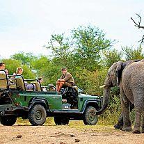 Kruger Safari - til fods og i åbne safaribiler