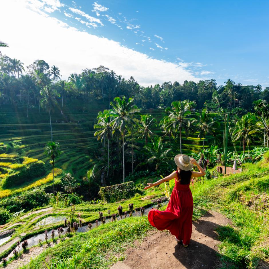 Rejser til Bali