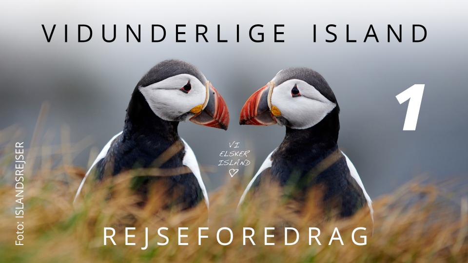 Vidunderlige Island