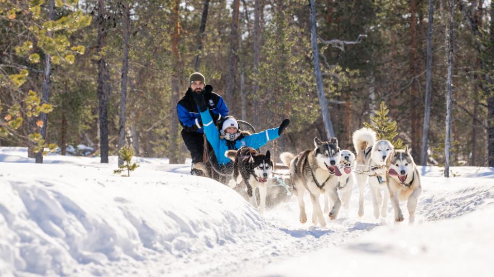 Vinterrejser til Finsk Lapland