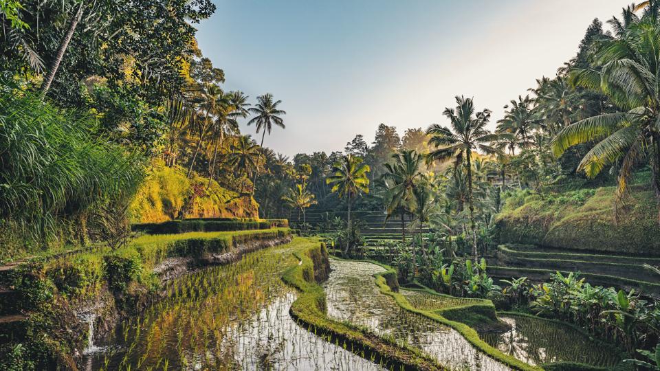 Mageløse oplevelser på Bali og øerne