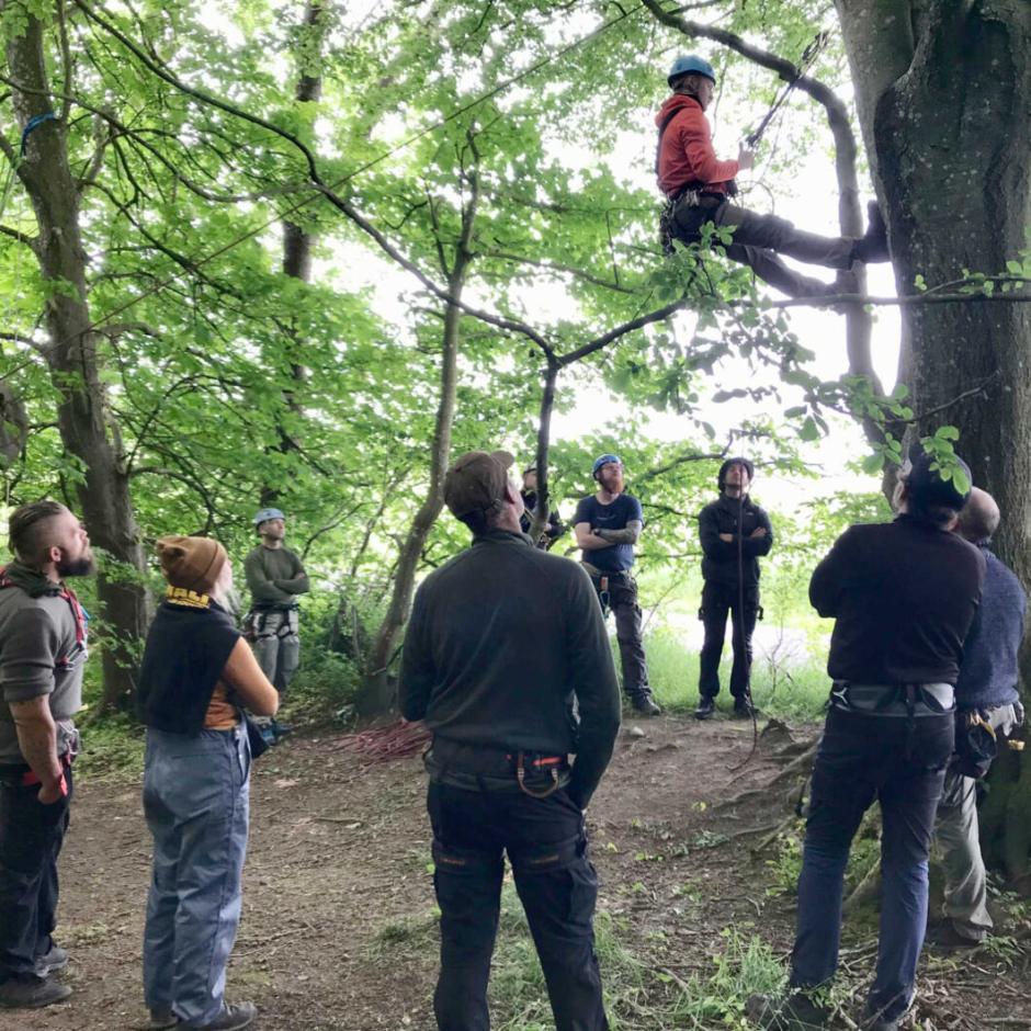 Modul 2: Bushcraft og Klatring